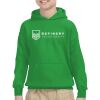 Youth Heavy Blend™ Hooded Sweatshirt Thumbnail